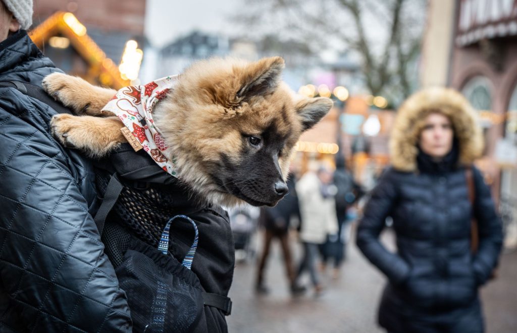 Diese Basler Rekorde musst du kennen