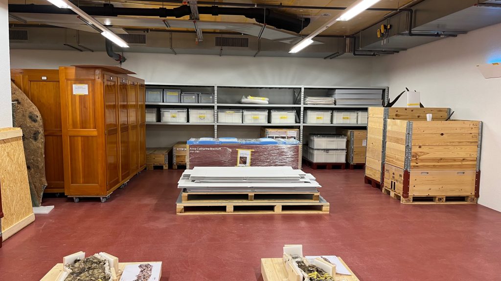 Dino-Jungtier soll die neue Attraktion werden