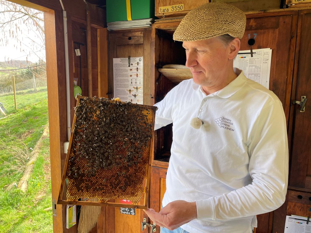 Die Imker hatten mehr zu tun als sonst