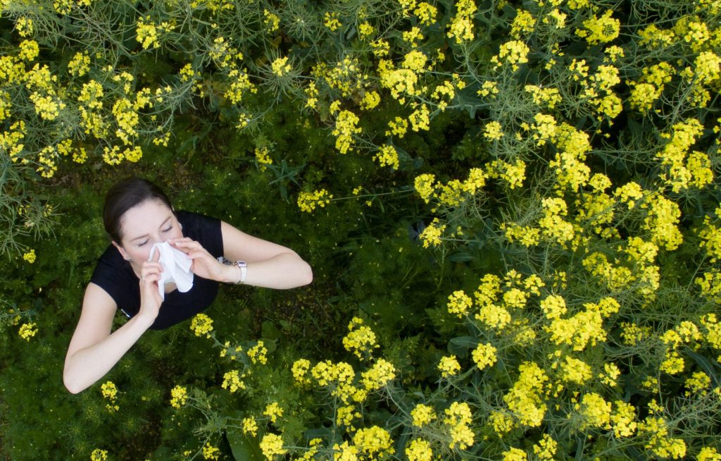 Klimawandel sei Dank: Die Pollensaison wird immer länger