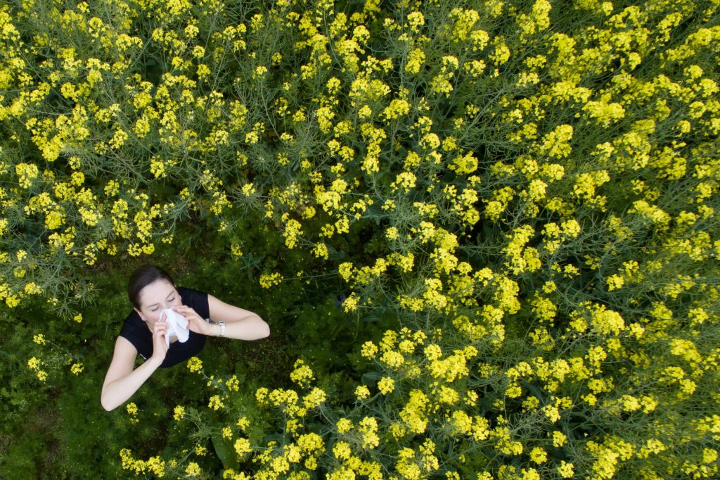 Klimawandel sei Dank: Die Pollensaison wird immer länger