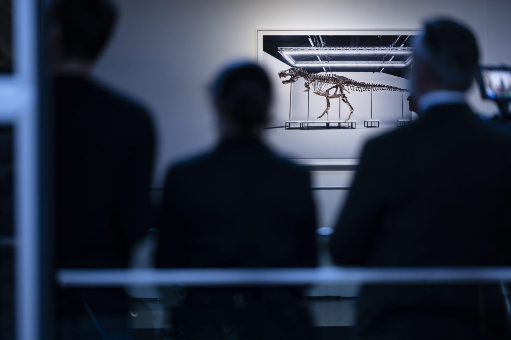 4,8 Millionen für ein Skelett: Der T-Rex kam in Zürich unter den Hammer