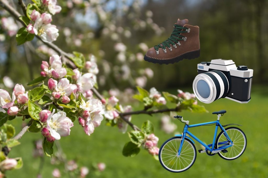 Ab ins Freie: die Bluescht startet