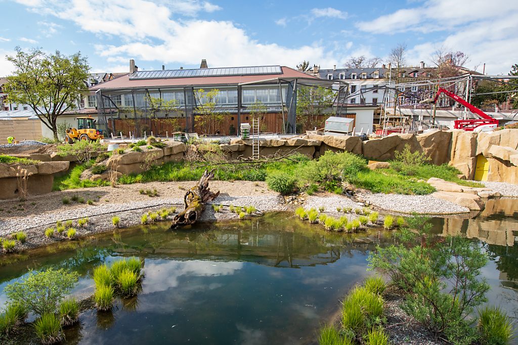 Zolli-Vogelhaus öffnet bald wieder seine Tore