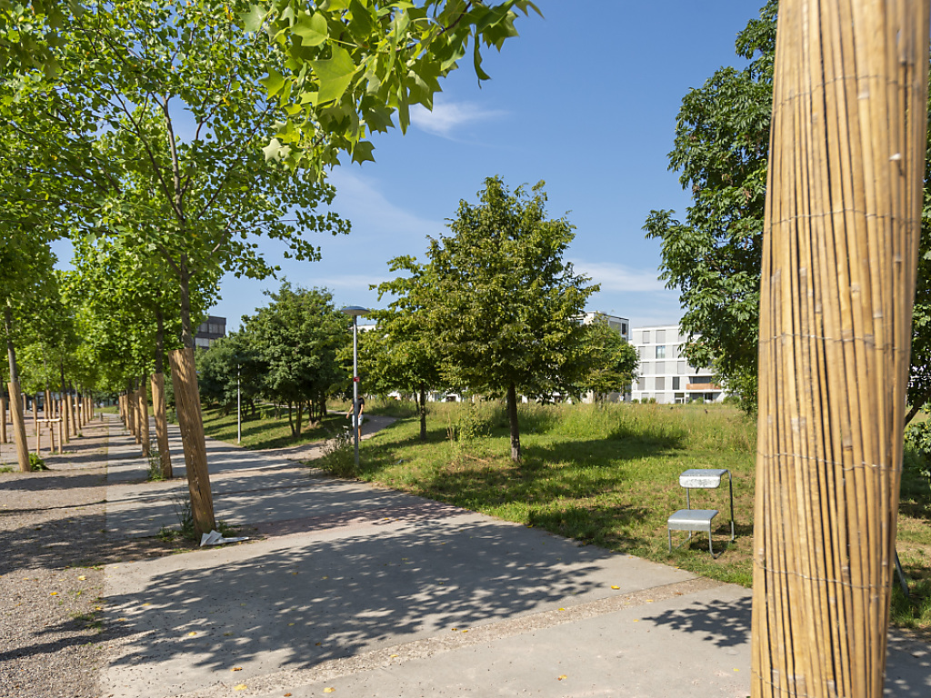 Erlenmattpark kann fertiggestellt werden