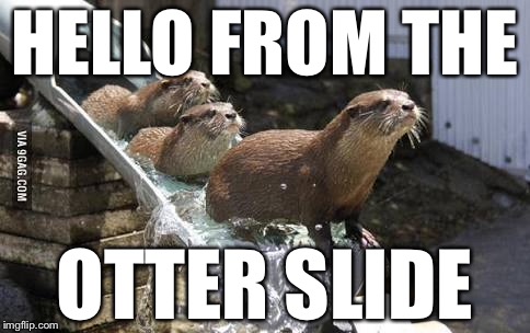 Heute ist Welt-Otter-Tag! Darum feiern wir ihn