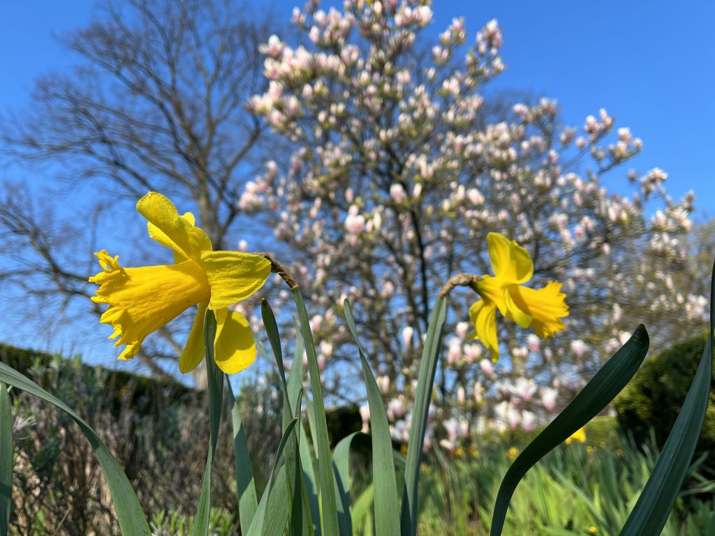 Der Frühling 2023 ist rund anderthalb Grad zu warm ausgefallen