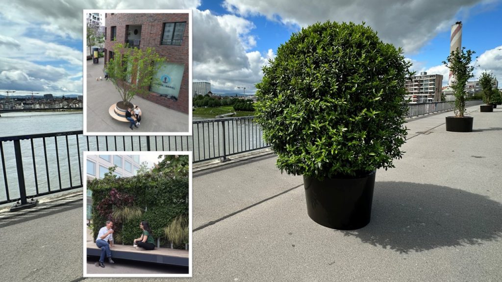 Bleibt es bei den Töpfen und Bänken? Kanton plant weitere Massnahmen gegen die Hitze