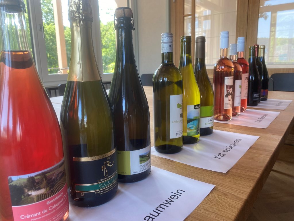 2022 – das drittbeste Weinjahr seit zehn Jahren