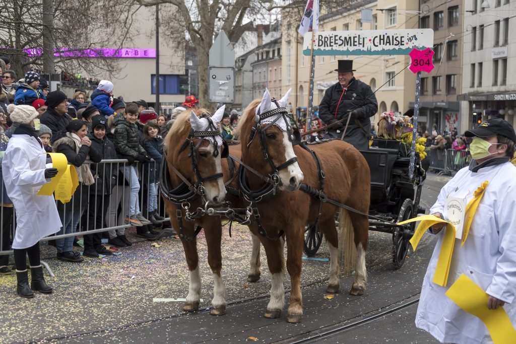 Fasnachts-Comité will keine neuen Chaisen mit Pferden