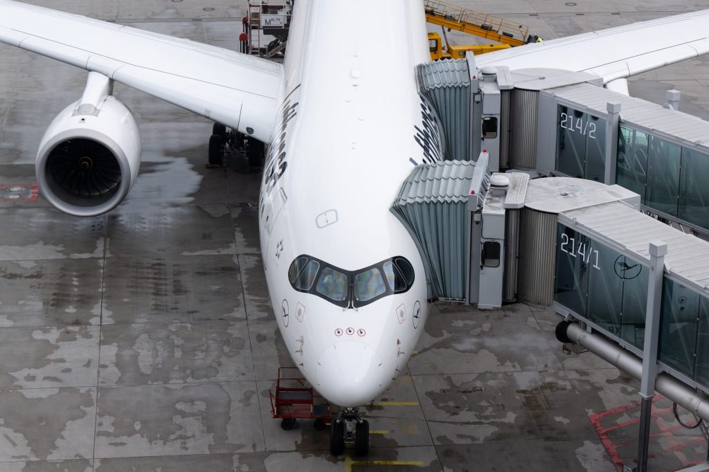 Nackte Flugpassagierin randaliert und beisst Polizisten in München