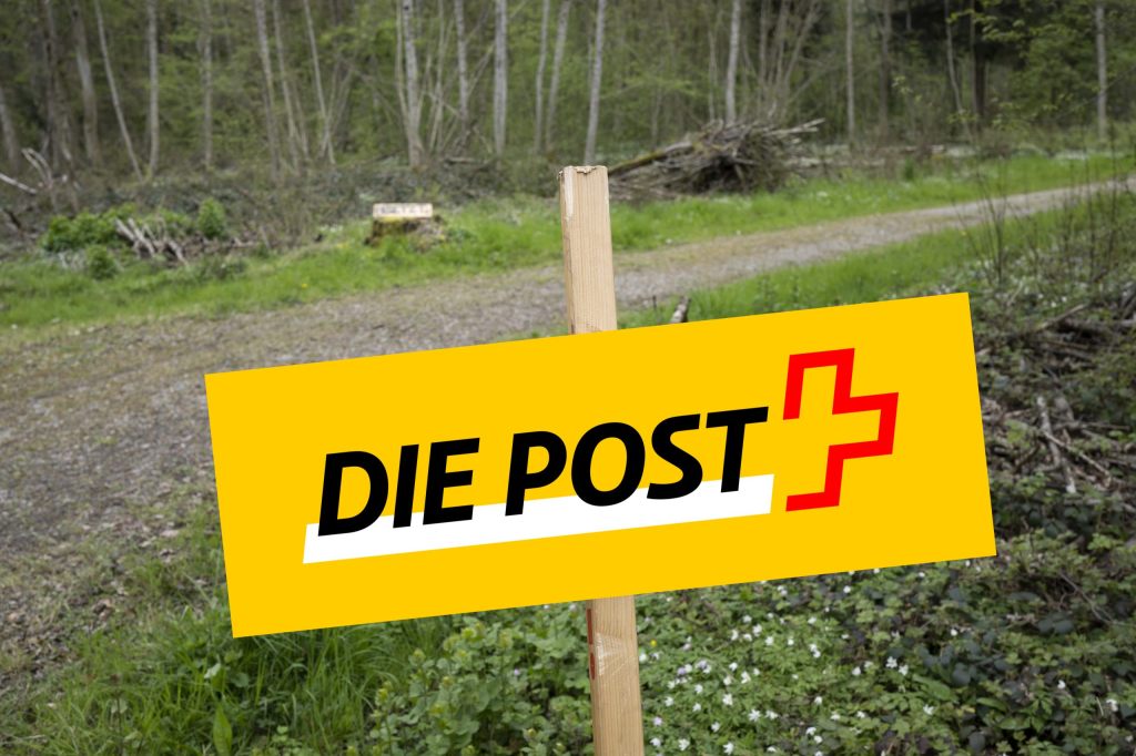 Post kauft Wald für Klimaziele