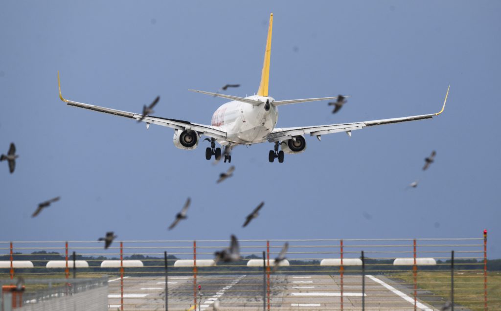 Fluggesellschaften im Juni fast auf Vor-Corona-Niveau