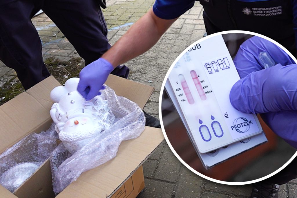 Unterwegs mit der Grenzwacht: Sind diese Männer frei von «Schnee»?