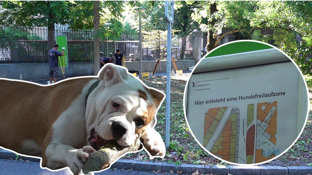 Good News für Hundehalter: Bald gibt’s mehr leinenfreie Zonen