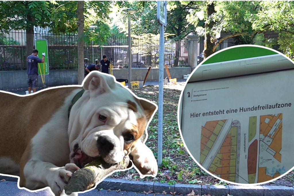 Good News für Hundehalter: Bald gibt’s mehr leinenfreie Zonen