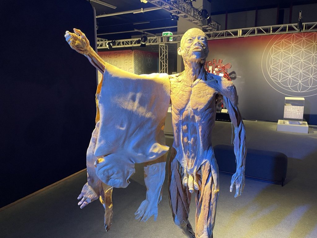 Schockieren ausgestellte Leichen heute noch?