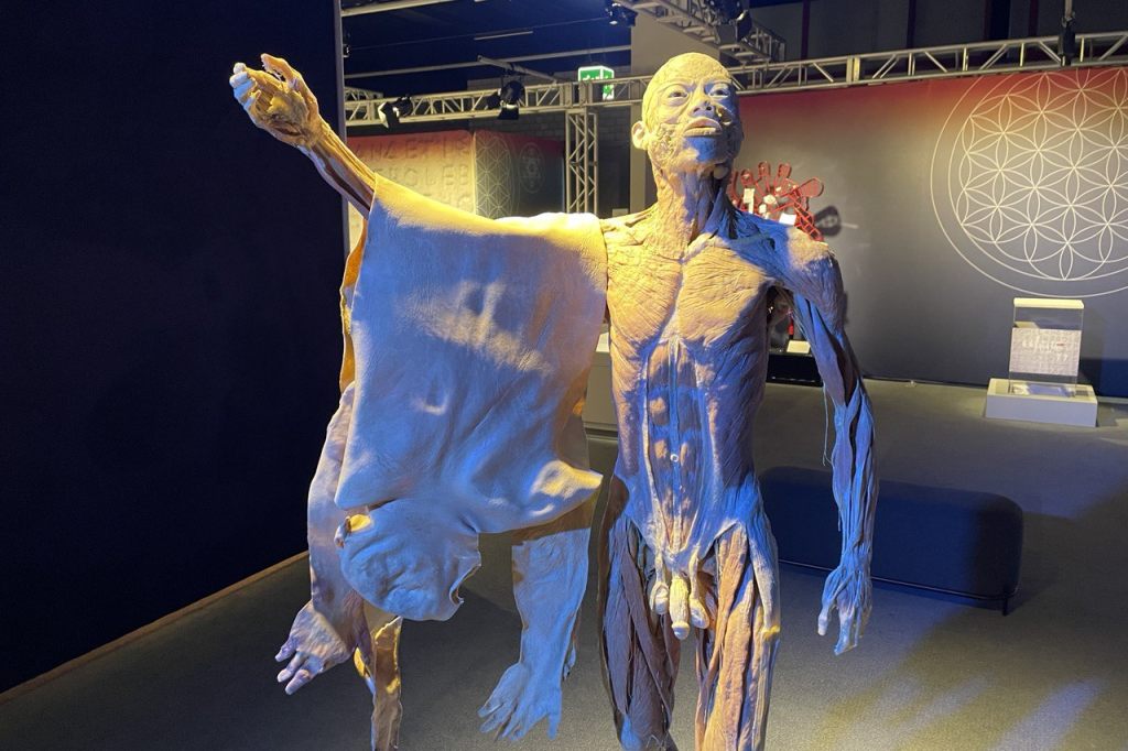 Schockieren ausgestellte Leichen heute noch?