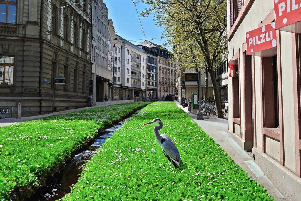 Würde sich eine dauerhafte Begrünung der Elisabethenstrasse lohnen?