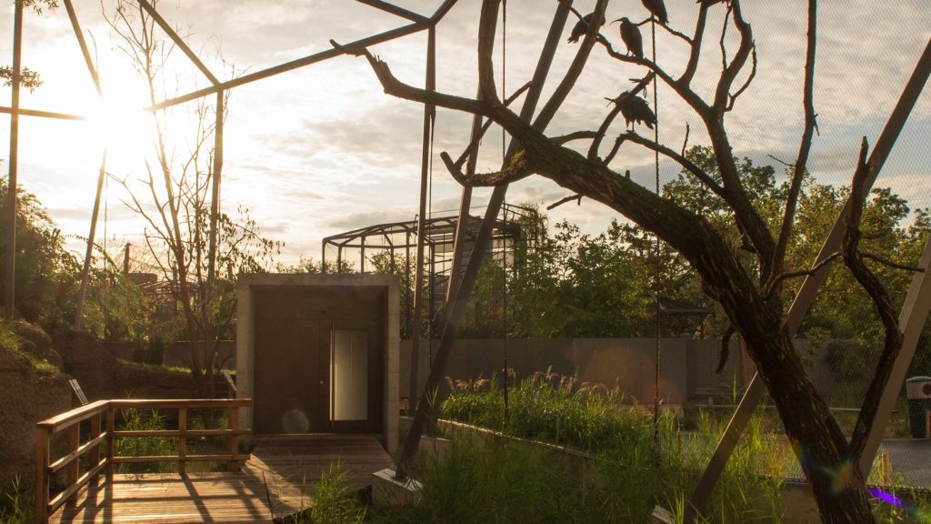 Im Zolli kannst du Vögel jetzt auch draussen besuchen