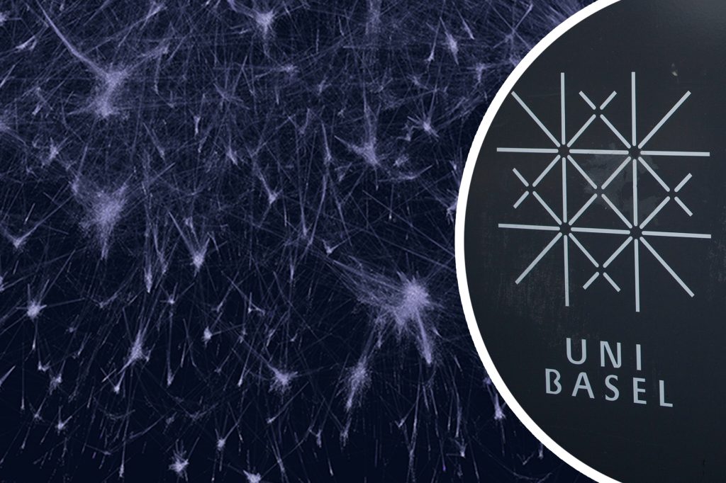 Künstliche Intelligenz entdeckt Hunderte neue Proteine