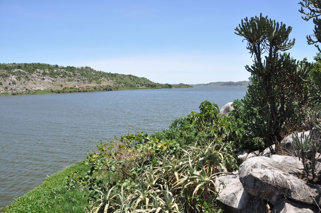 Mit Basler Beteiligung: Forscher lüften Geheimnis um Explosion der Biodiversität im Viktoriasee