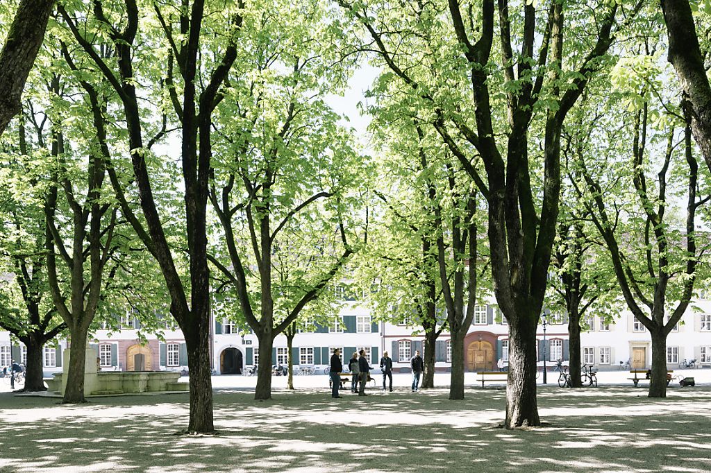 Grosser Rat beschliesst Stadtklima-light-Vorlagen