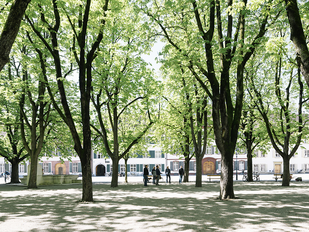 Grosser Rat beschliesst Stadtklima-light-Vorlagen