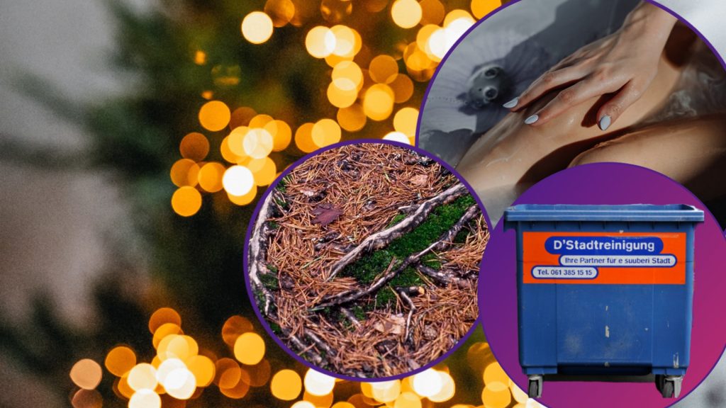 Adieu, Weihnachtsbaum! Was tun mit dem Bäumchen?