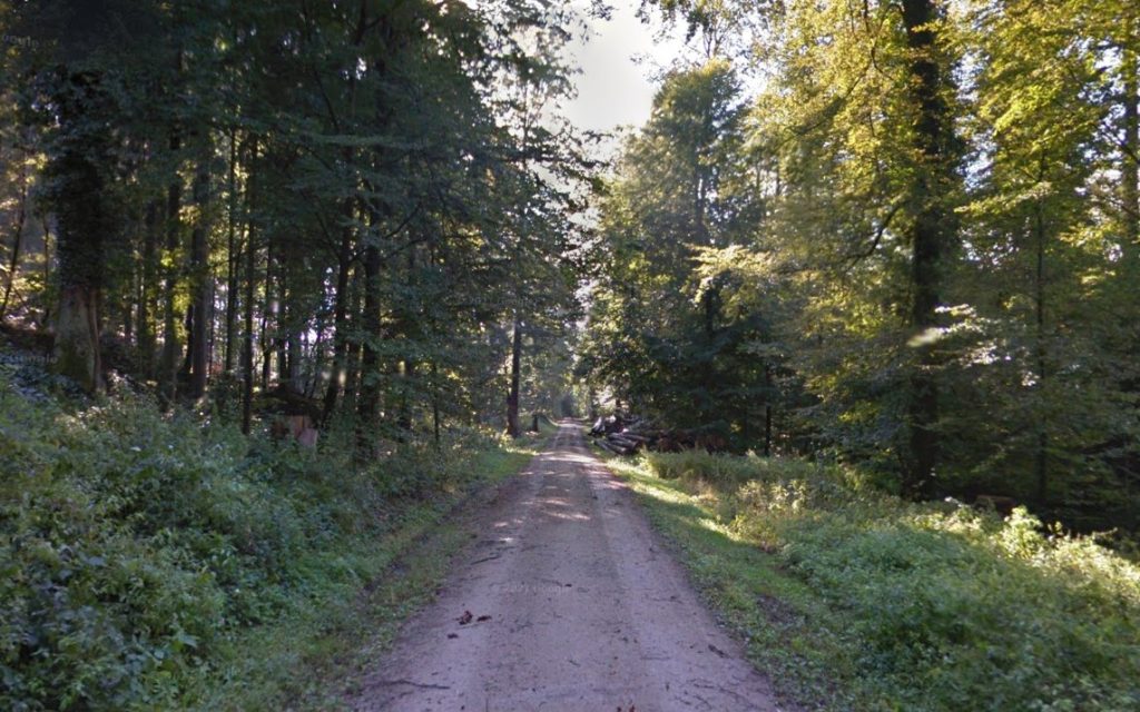 Aargauer Obergericht spricht «Höhlenmörder» vom Bruggerberg schuldig