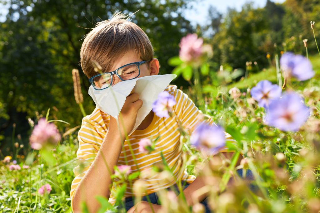 Heuschnupfenalarm: Die Birkenpollen sind schon da
