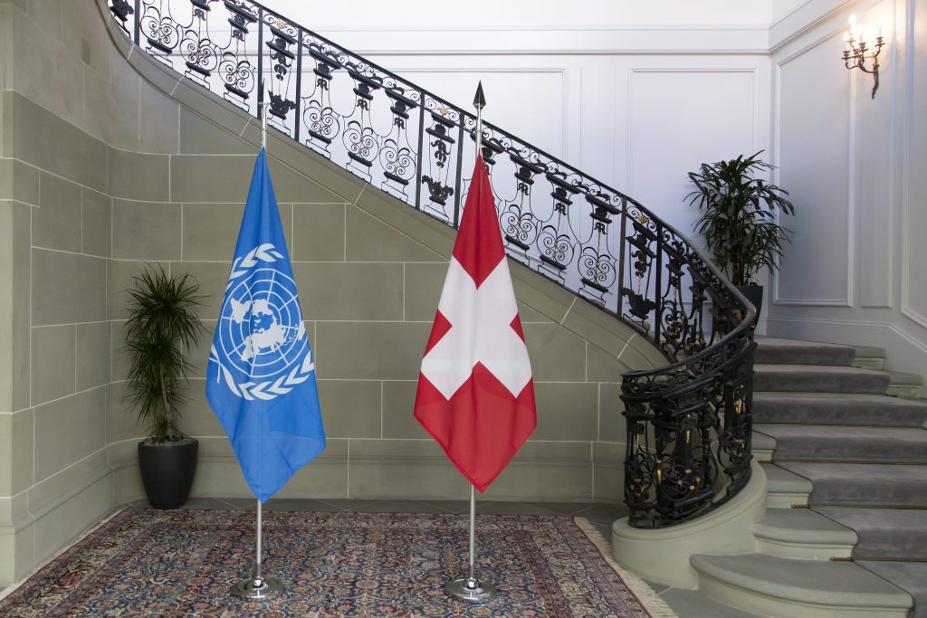 Gesunde Pflanzen: Der perfekte Tag, um etwas für den grünen Planeten zu tun