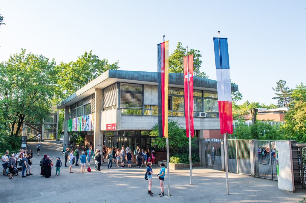 Zolli-Jubiläum und Strompreise gehen ins Geld