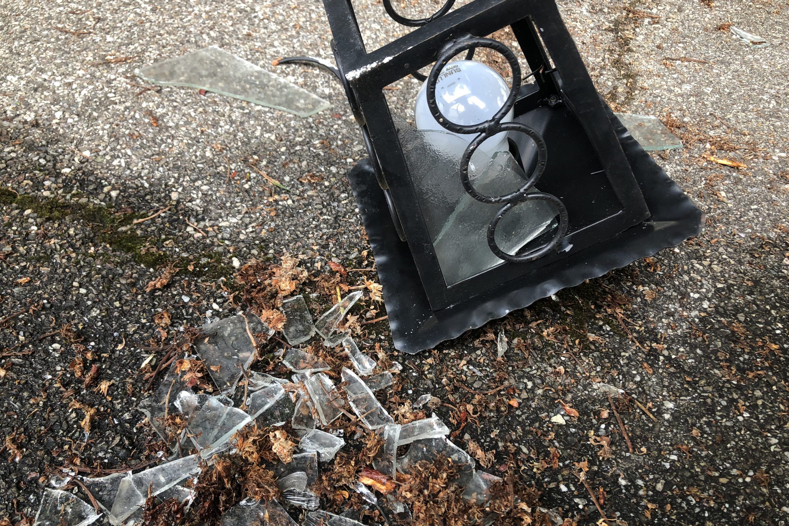 «Eine ganz normale Schulwoche»: Ein kleiner Funken Hollywood am Gotthelf-Schulhaus