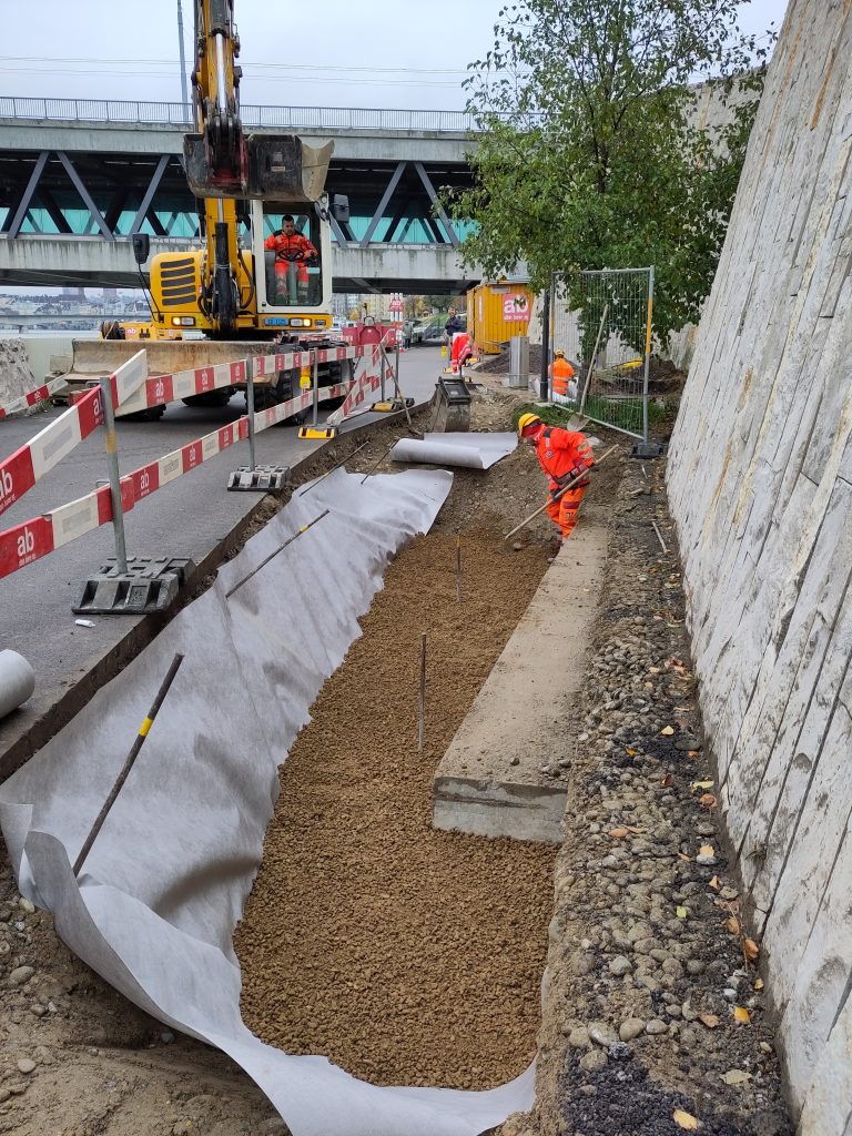 Mehr Grün und neues Leben am Elsässerrheinweg