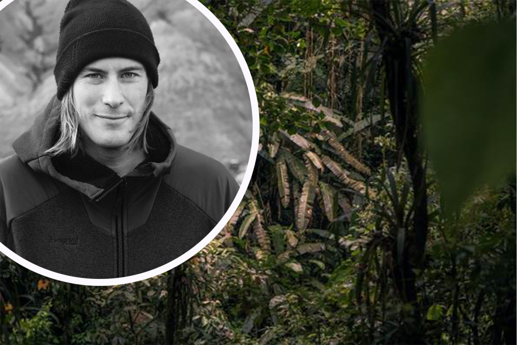 Kunst an Globus-Baustelle: Riesen-Monitor sendet live vom Regenwald