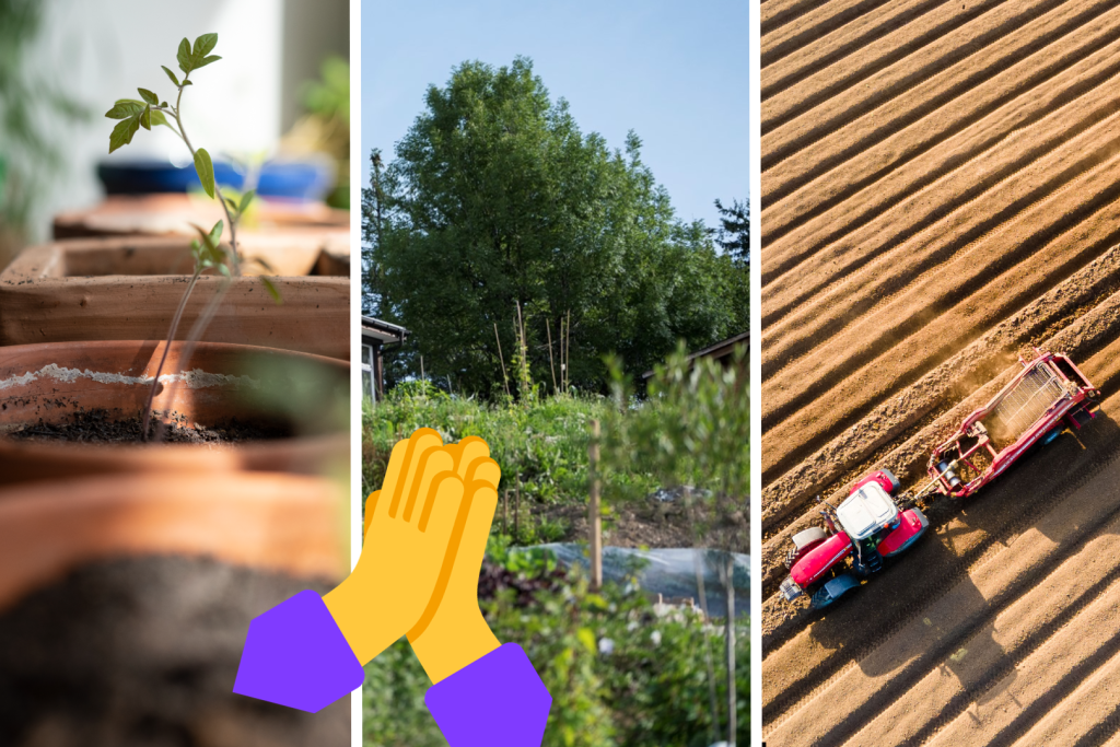 Gesunde Pflanzen: Der perfekte Tag, um etwas für den grünen Planeten zu tun