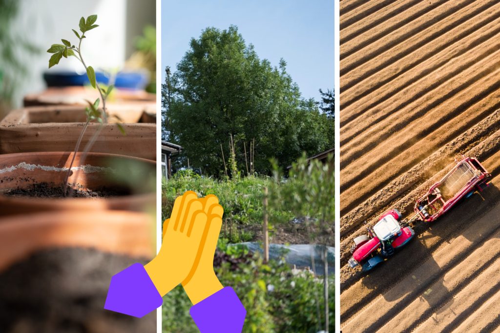 Gesunde Pflanzen: Der perfekte Tag, um etwas für den grünen Planeten zu tun