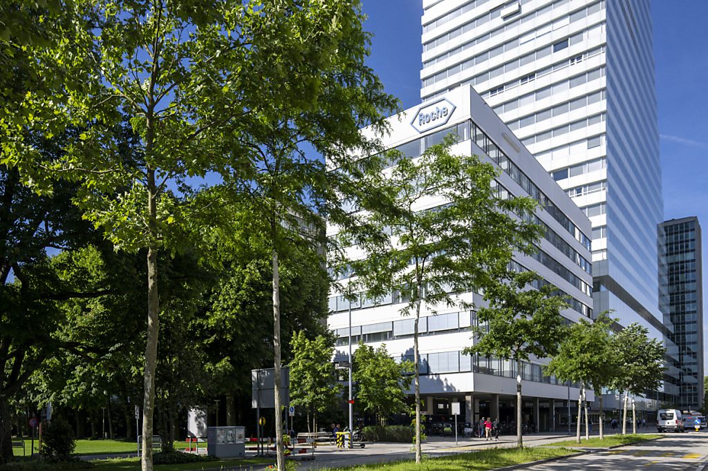 80 neue Bäume an der Grenzacherstrasse gepflanzt