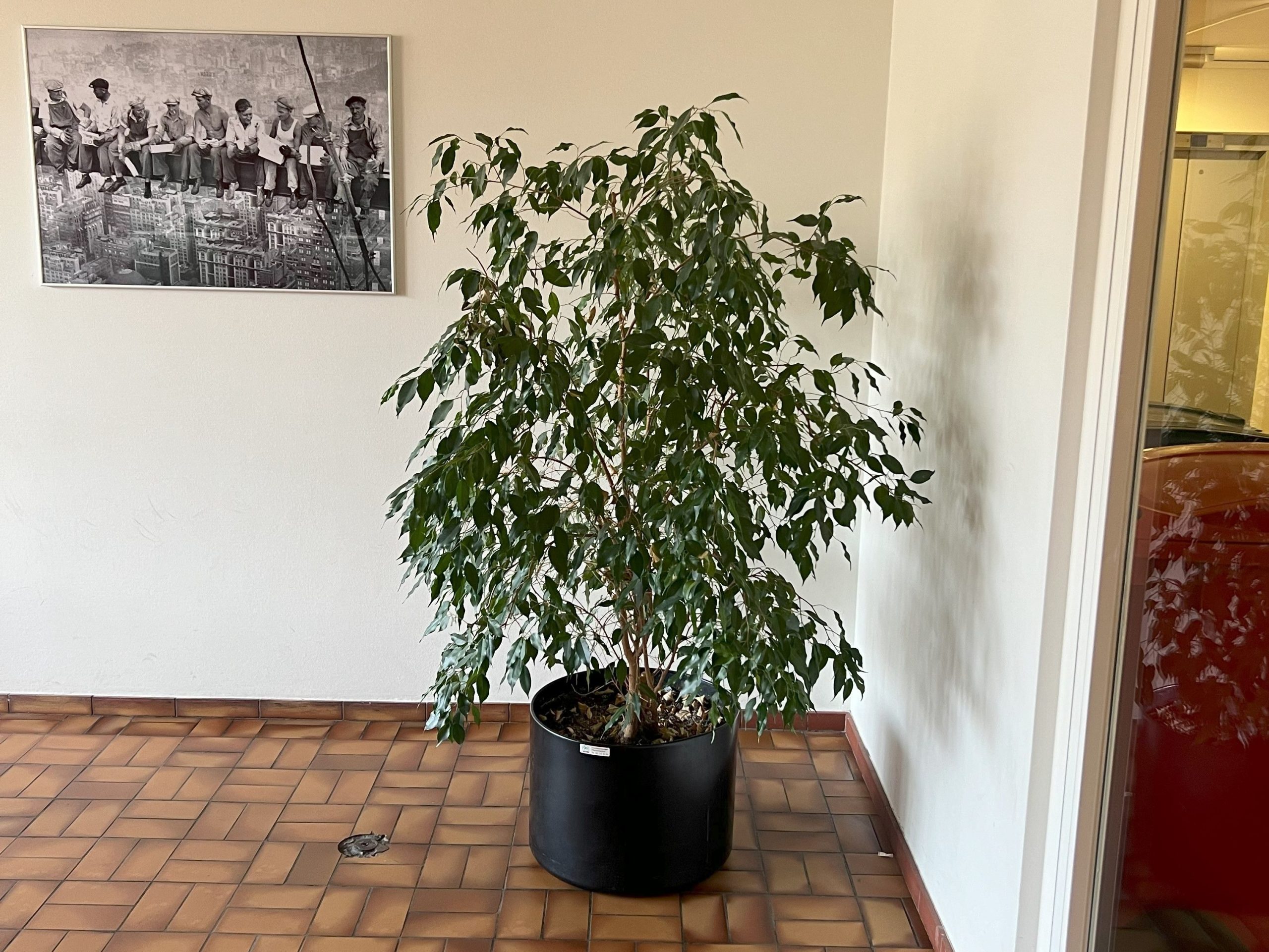 Grosses Abschiedsfest am KV Basel: «Für mich war es beruflich die beste Zeit»