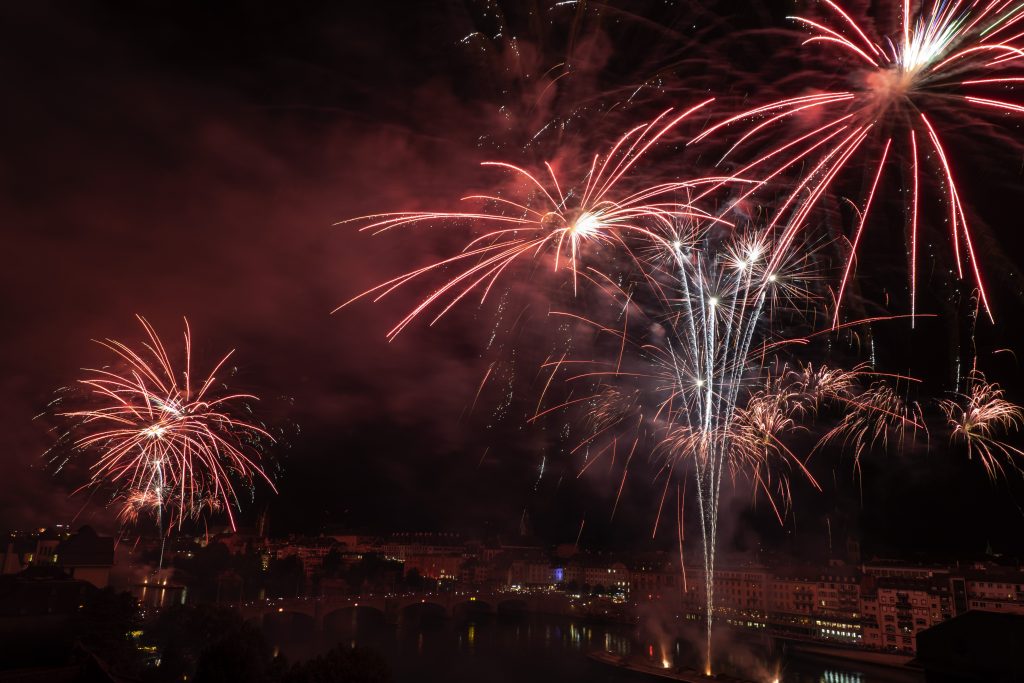 Zäune ums Feuer und Böller-Verzicht: Tierwohl-Tipps zum 1. August