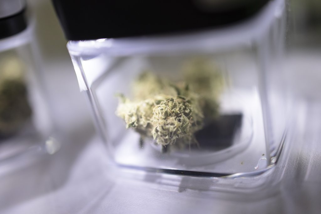 Cannabis-Pilotversuch zeigt: Legale Abgabe sorgt für risikoärmeren Konsum