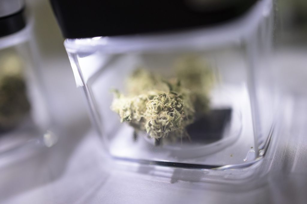 Cannabis-Pilotversuch zeigt: Legale Abgabe sorgt für risikoärmeren Konsum