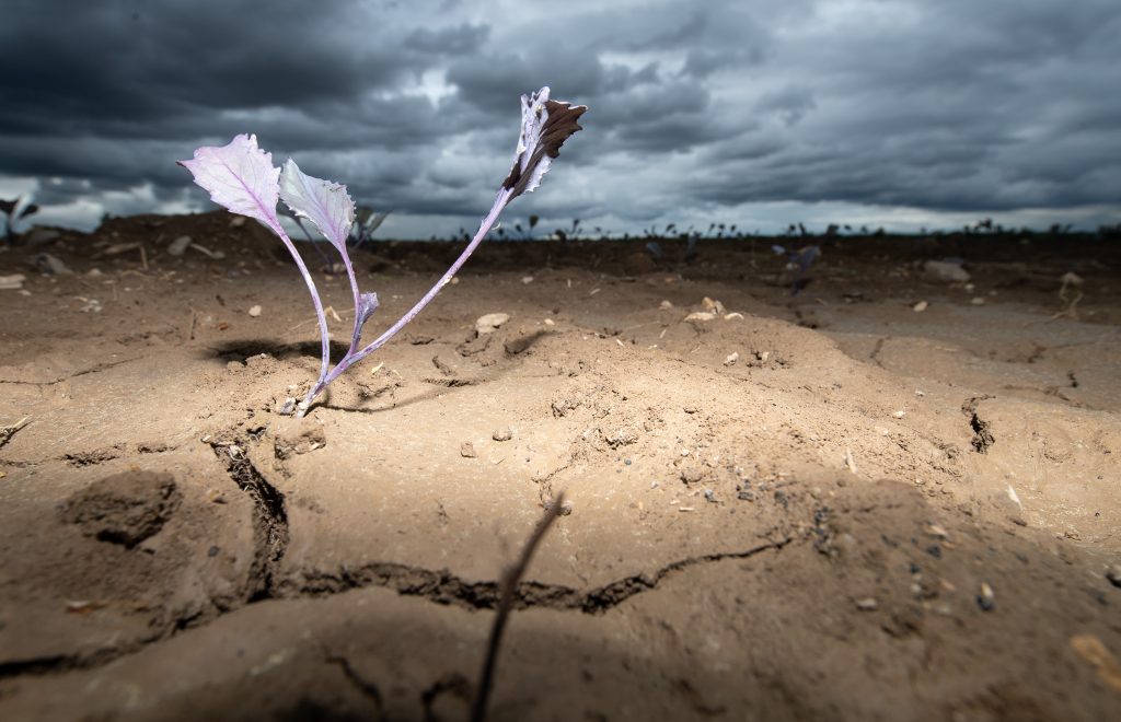 84 Prozent der Schweizer fürchten Zunahme von Extrem-Wetter