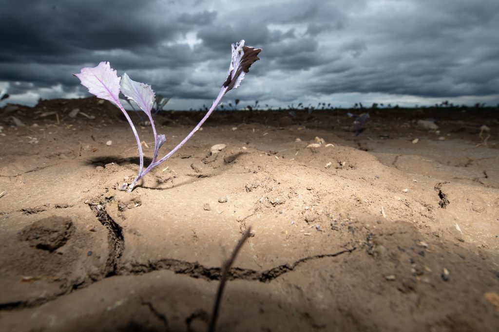 84 Prozent der Schweizer fürchten Zunahme von Extrem-Wetter