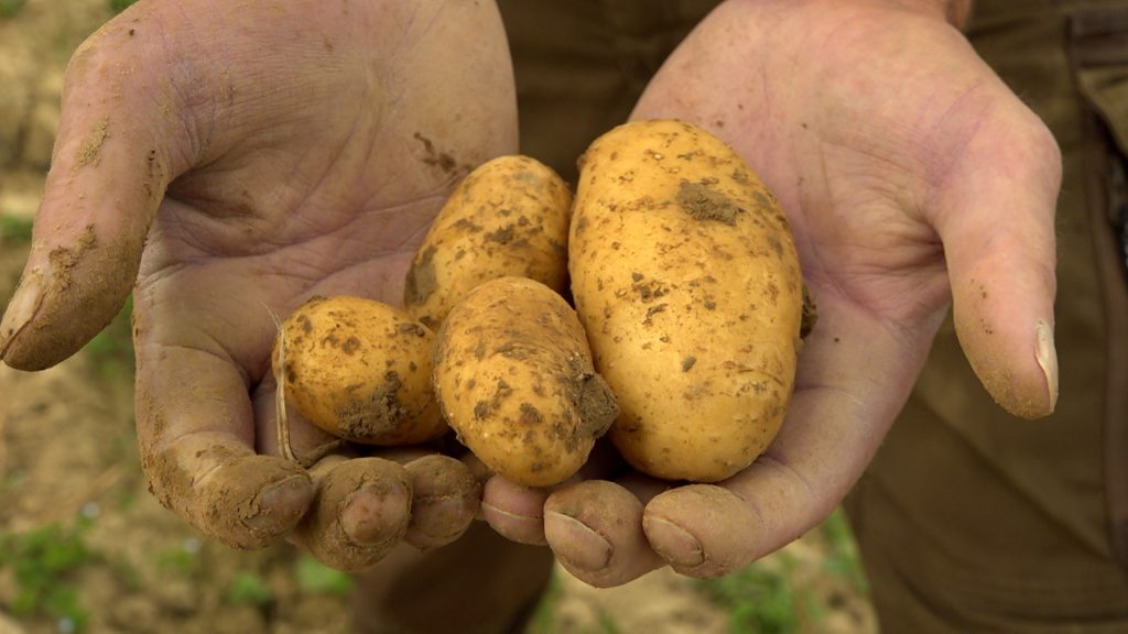 Mehr Bio-Bauern im Baselbiet: «Wir profitieren von Bio»