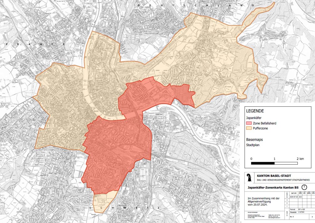 Japankäfer auf dem Vormarsch – Kanton weitet Massnahmen aus