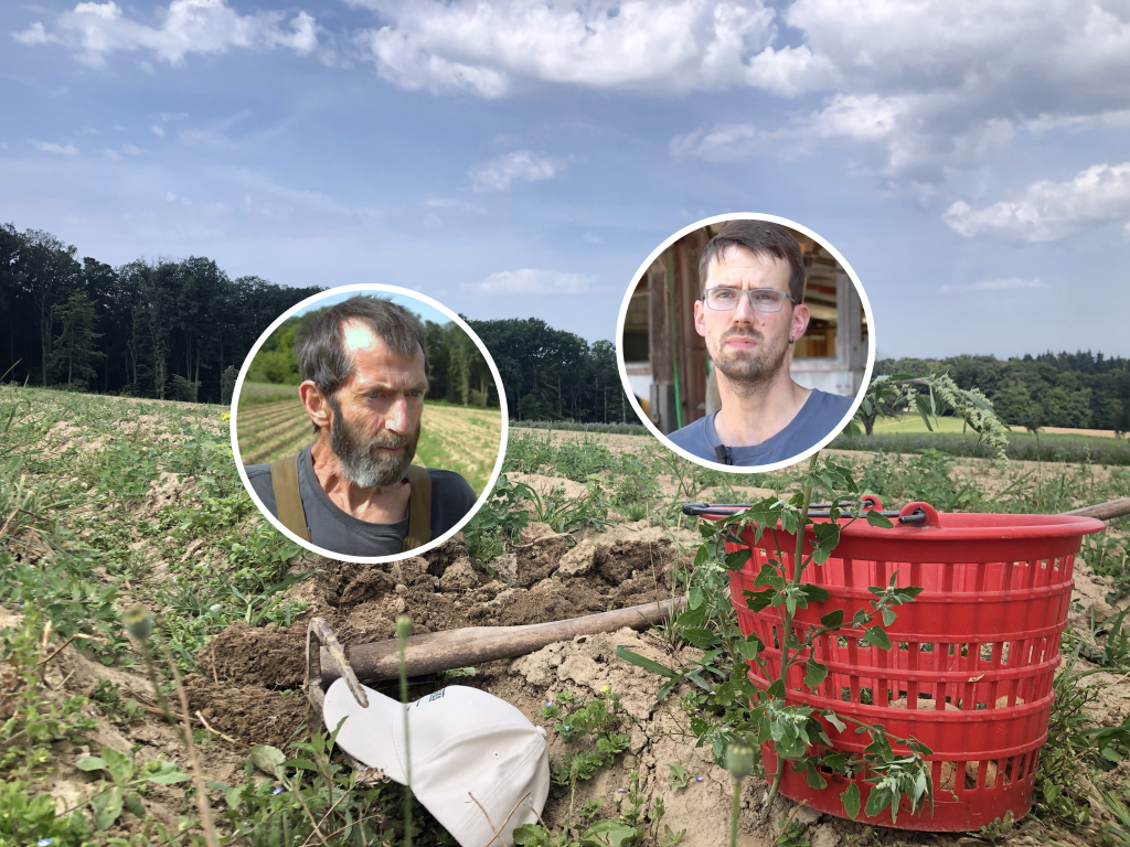 Mehr Bio-Bauern im Baselbiet: «Wir profitieren von Bio»