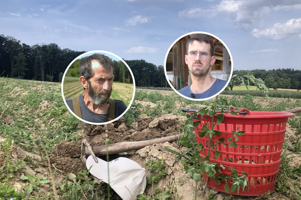 Mehr Bio-Bauern im Baselbiet: «Wir profitieren von Bio»