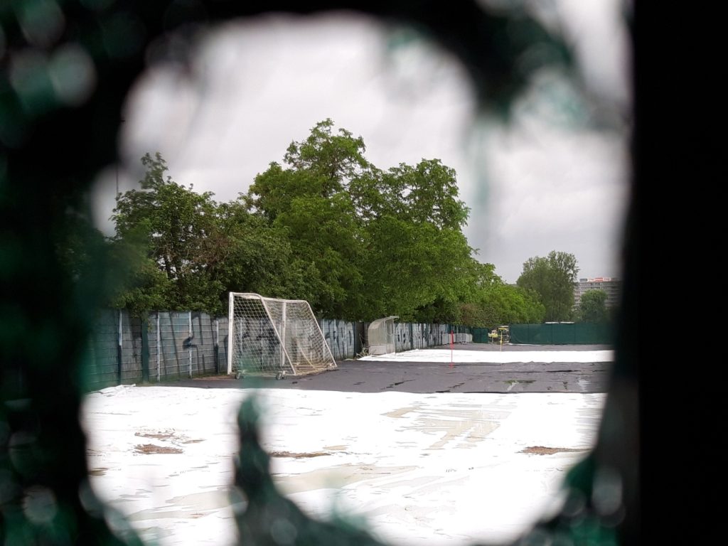 Beide Basel wollen mit mehreren Massnahmen den Japankäfer bodigen